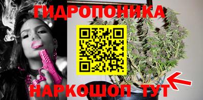 стаф Бузулук