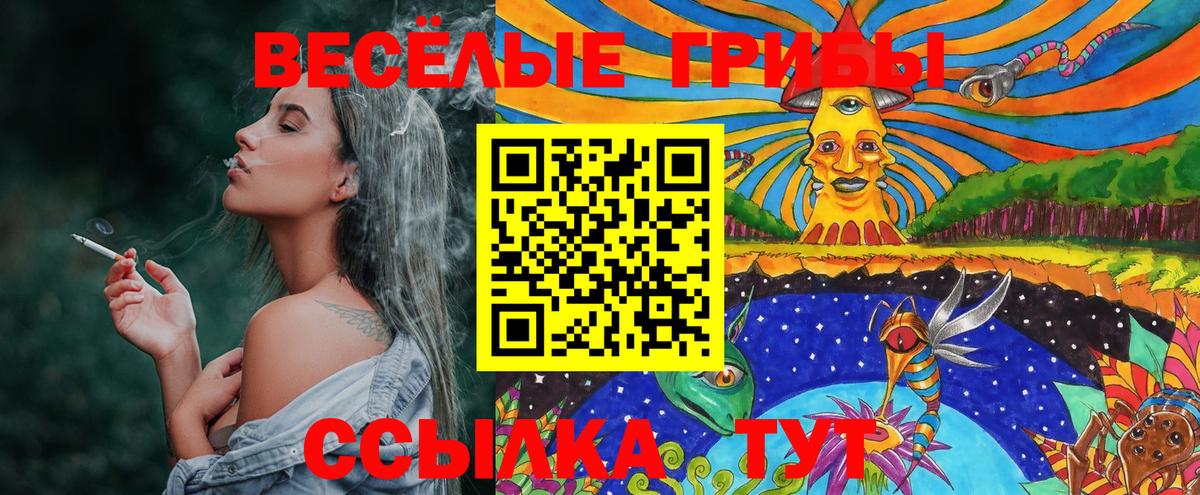 Псилоцибиновые грибы GOLDEN TEACHER Коркино